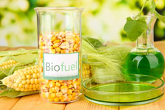 Higher Eype biofuel availability
