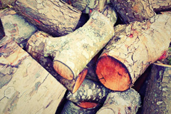 Higher Eype wood burning boiler costs